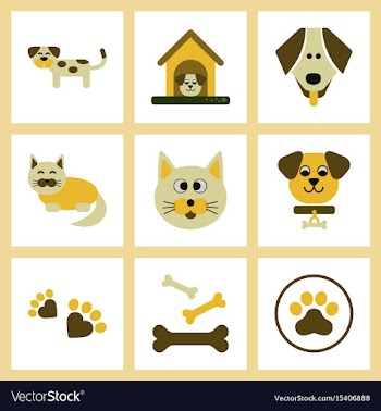 Assembly flat icons dog cats pets vector image
