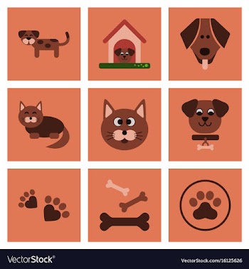 Assembly flat icons dog cats pets vector image