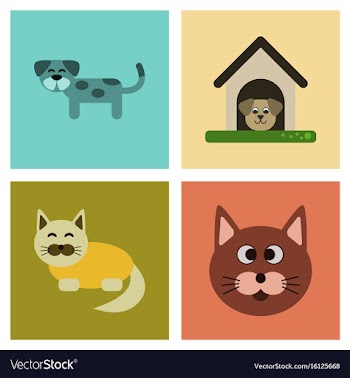 Assembly flat icons dog cats pets vector image