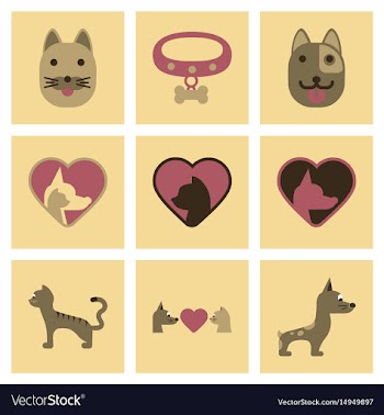 Assembly flat icons dogs cats pets vector image