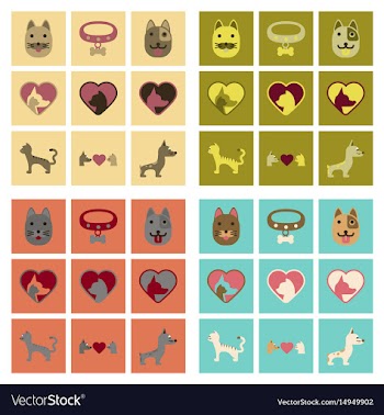 Assembly flat icons dogs cats pets vector image