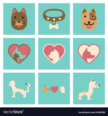 Assembly flat icons dogs cats pets vector image
