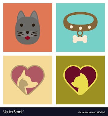 Assembly flat icons dogs cats pets vector image
