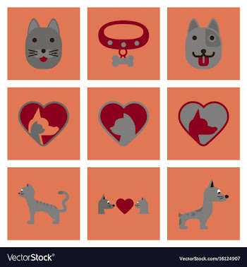 Assembly flat icons dogs cats pets vector image