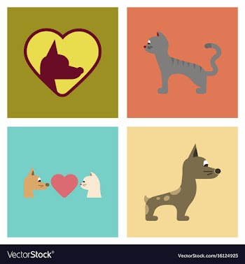 Assembly flat icons dogs cats pets vector image