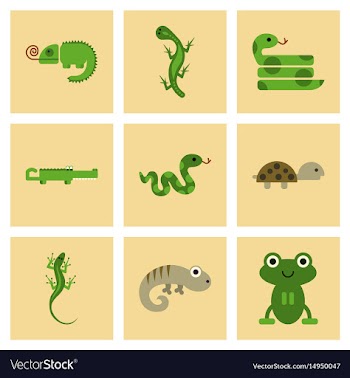 Assembly flat icons exotic wild reptiles vector image