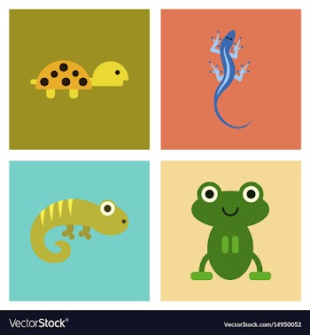 Assembly flat icons exotic wild reptiles vector image