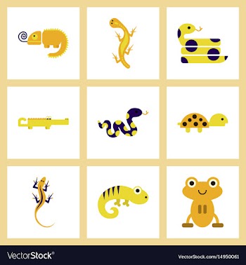 Assembly flat icons exotic wild reptiles vector image