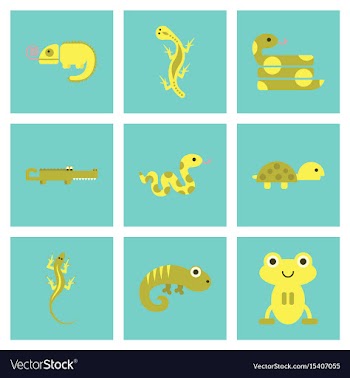 Assembly flat icons exotic wild reptiles vector image