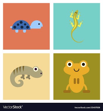 Assembly flat icons exotic wild reptiles vector image