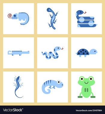 Assembly flat icons exotic wild reptiles vector image