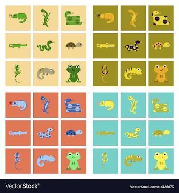 Assembly flat icons exotic wild reptiles vector image
