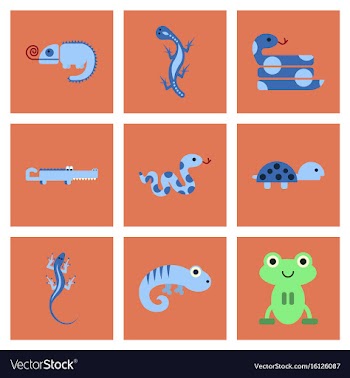 Assembly flat icons exotic wild reptiles vector image