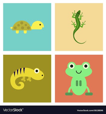 Assembly flat icons exotic wild reptiles vector image