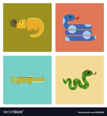 Assembly flat icons exotic wild reptiles vector image