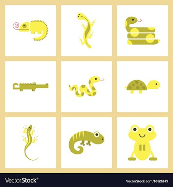 Assembly flat icons exotic wild reptiles vector image