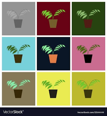 Assembly flat icons ficus vector image
