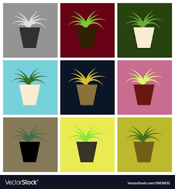 Assembly flat icons flower in pot aloe vector image