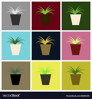 Assembly flat icons flower in pot aloe vector image