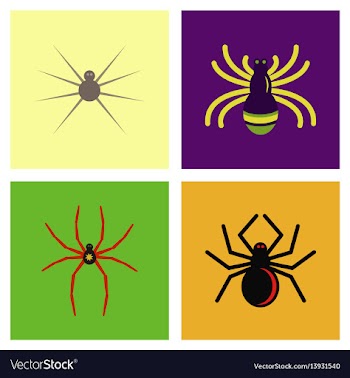 Assembly flat icons halloween spider vector image