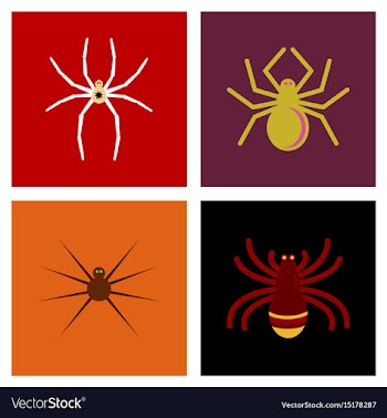 Assembly flat icons halloween spider vector image