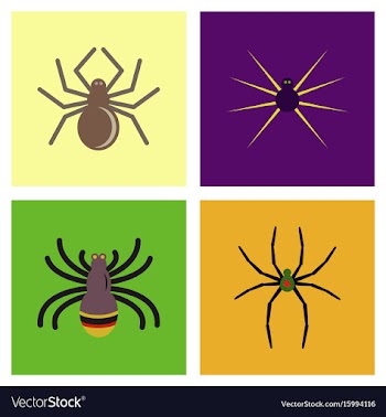 Assembly flat icons halloween spider vector image