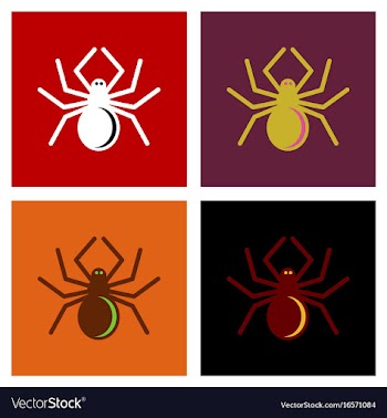 Assembly flat icons halloween spider vector image