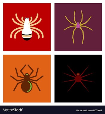 Assembly flat icons halloween spider vector image