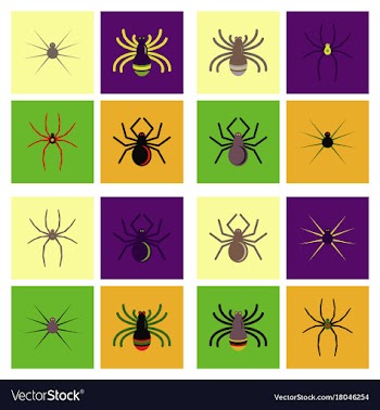 Assembly flat icons halloween spider vector image