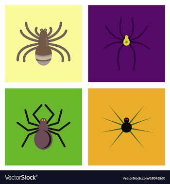 Assembly flat icons halloween spider vector image