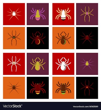 Assembly flat icons halloween spider vector image