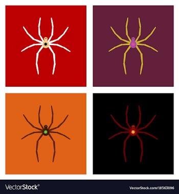 Assembly flat icons halloween spider vector image