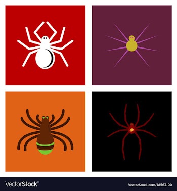 Assembly flat icons halloween spider vector image
