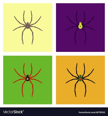 Assembly flat icons halloween spider vector image