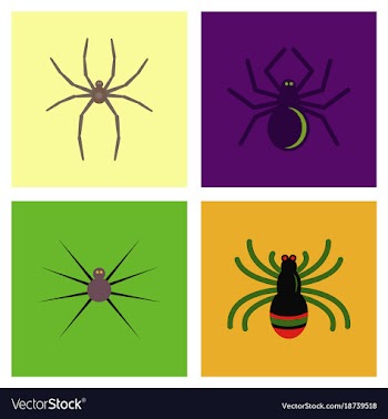 Assembly flat icons halloween spider vector image