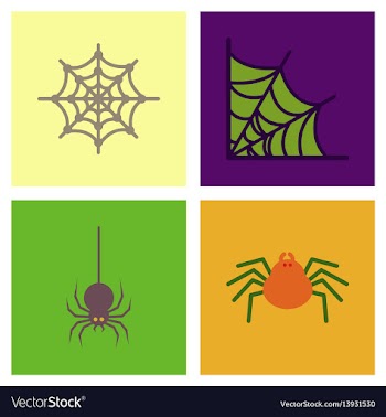 Assembly flat icons halloween spider web vector image