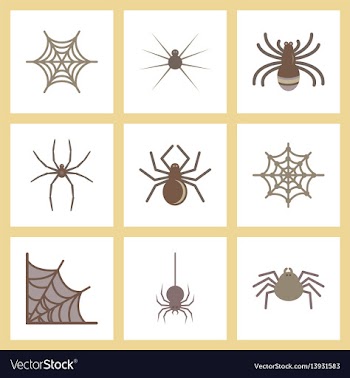 Assembly flat icons halloween spider web vector image
