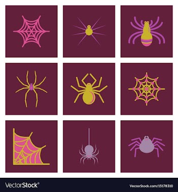 Assembly flat icons halloween spider web vector image