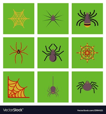 Assembly flat icons halloween spider web vector image