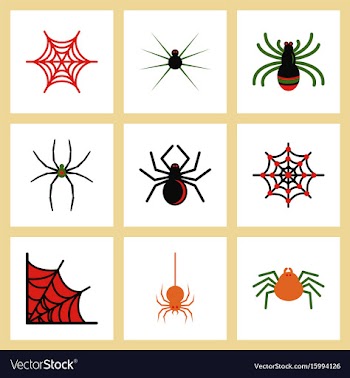 Assembly flat icons halloween spider web vector image
