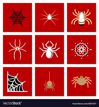 Assembly flat icons halloween spider web vector image