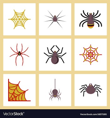 Assembly flat icons halloween spider web vector image