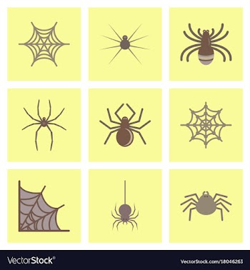 Assembly flat icons halloween spider web vector image