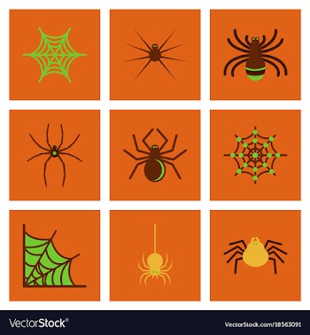 Assembly flat icons halloween spider web vector image