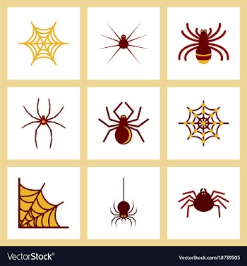 Assembly flat icons halloween spider web vector image