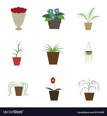 Assembly flat icons houseplants vector image