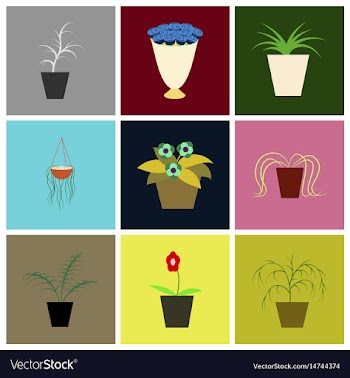 Assembly flat icons houseplants vector image