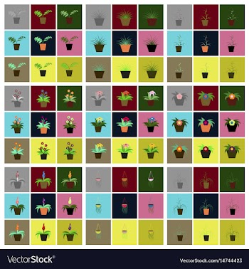 Assembly flat icons houseplants vector image