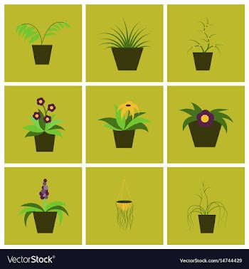 Assembly flat icons houseplants vector image