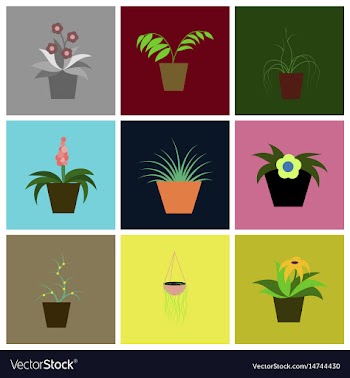 Assembly flat icons houseplants vector image